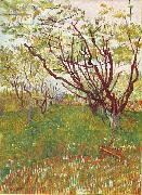 Vincent Van Gogh Cherry Tree Sweden oil painting artist